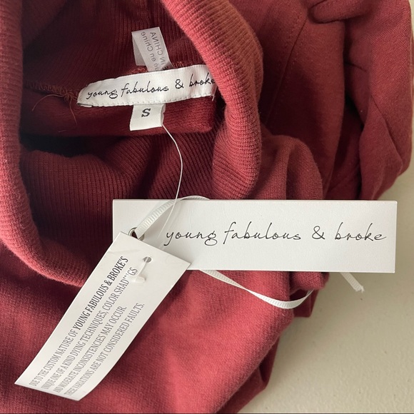 YOUNG FABULOUS & BROKE NWT ASYMMETRICAL TURTLENECK MINI DRESS REDISH RUST SMALL - Picture 4 of 6